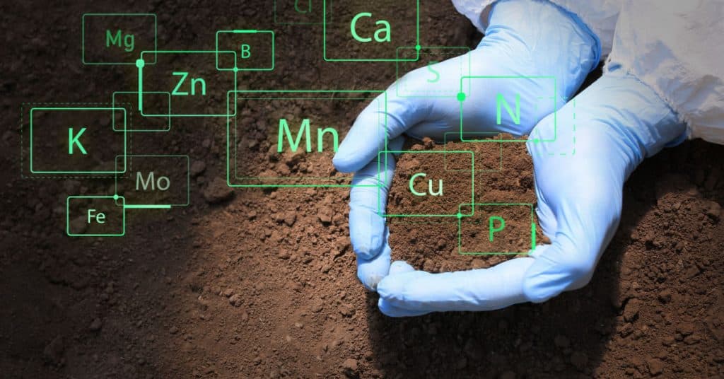 Soil Remediation & Testing in Leicester